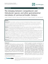 The Interplay Between Campylobacter and Helicobacter Species And