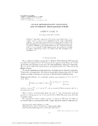 Schur Orthogonality Relations and Invariant Sesquilinear Forms