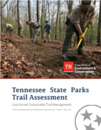 TN SP Assessment Report