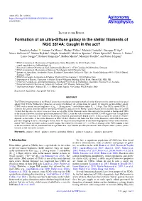 Formation of an Ultra-Diffuse Galaxy in the Stellar Filaments of NGC 3314A