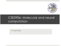 Molecular and Neural Computation
