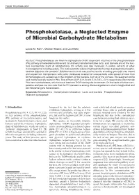 Phosphoketolase, a Neglected Enzyme of Microbial Carbohydrate Metabolism