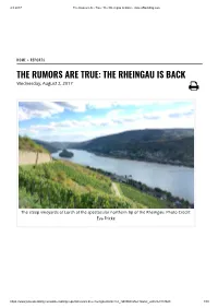 The Rumors Are True: the Rheingau Is Back - Jamessuckling.Com