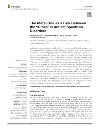 The Metallome As a Link Between the ``Omes'' in Autism Spectrum