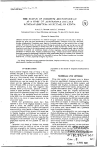 The Status of Sorghum Arundinaceum As a Host of Atherigona Soccata Rondan1 (Diptera:Muscidae) in Kenya