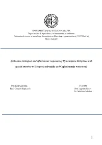Applicative, Biological and Olfactometer Responses of Hymenoptera Bethylidae With