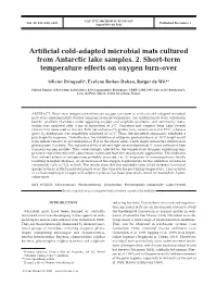 Artificial Cold-Adapted Microbial Mats Cultured from Antarctic Lake Samples