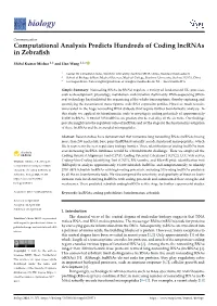 Computational Analysis Predicts Hundreds of Coding Lncrnas in Zebrafish