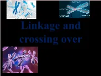 Linkage and Crossing Over