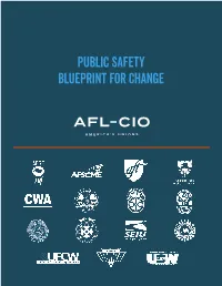 Public Safety Blueprint for Change