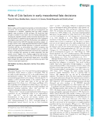 Role of Cdx Factors in Early Mesodermal Fate Decisions Tanya E