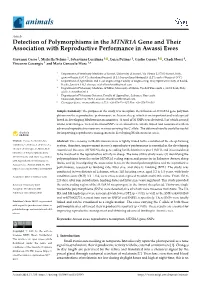 Detection of Polymorphisms in the MTNR1A Gene and Their Association with Reproductive Performance in Awassi Ewes