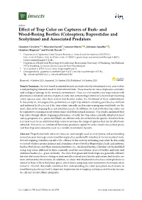 Effect of Trap Color on Captures of Bark- and Wood-Boring Beetles