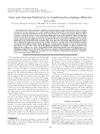Gene and Genome Duplication in Acanthamoeba Polyphaga Mimivirus