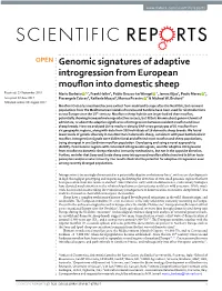 Genomic Signatures of Adaptive Introgression from European