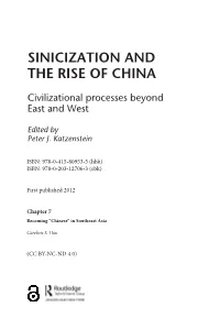 SINICIZATION and the RISE of CHINA Civilizationalsinicizationsinicization Processes and Beyond and East and West THETHE RISE RISE of of CHINA CHINA
