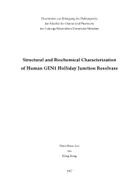 Structural and Biochemical Characterization of Human GEN1 Holliday Junction Resolvase