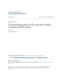 Understanding Patterns of Diversity and Evolution in Mainland Anolis Lizards Levi Gray University of New Mexico