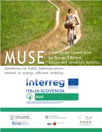 Cross-Border Cooperation for Energy-Efficient