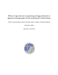 Effects of Age and Size on Spawning and Egg Production in Gag and Scamp Grouper Off the Southeastern United States