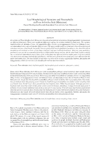 Leaf Morphological Variations and Heterophylly in Ficus Deltoidea Jack (Moraceae) (Variasi Morfologi Dan Heterofili Daun Dalamficus Deltoidea Jack (Moraceae))