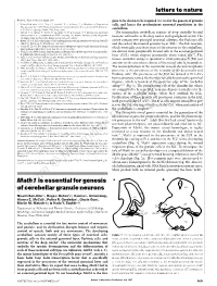 Math1 Is Essential for Genesis of Cerebellar Granule Neurons