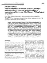 Population Genomics Reveals That Within-Fungus Polymorphism Is Common and Maintained in Populations of the Mycorrhizal Fungus Rhizophagus Irregularis