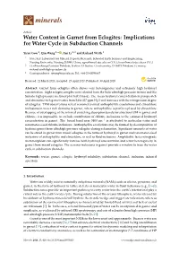 Water Content in Garnet from Eclogites: Implications for Water Cycle in Subduction Channels