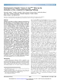 Development of Gastric Tumors in Apc Mice by the Activation of the B