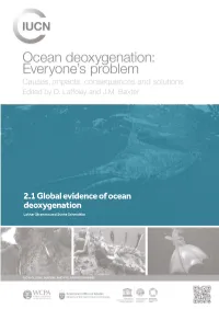 2.1 Global Evidence of Ocean Deoxygenation Lothar Stramma and Sunke Schmidtko