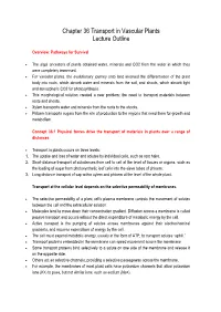 Chapter 36 Transport in Vascular Plants Lecture Outline