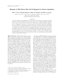 Mutation of L7rn3 Shows That Odz4 Is Required for Mouse Gastrulation