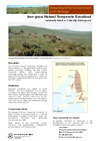 Iron-Grass Natural Temperate Grassland Nationally Listed As Critically Endangered