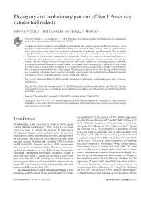 Phylogeny and Evolutionary Patterns of South American Octodontoid Rodents