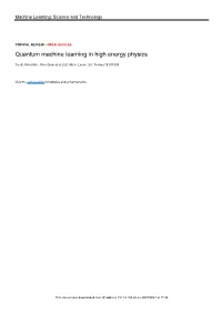 Quantum Machine Learning in High Energy Physics