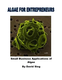 Algae for Entrepreneurs by David Sieg