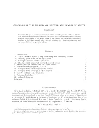 Calculus of the Embedding Functor and Spaces of Knots
