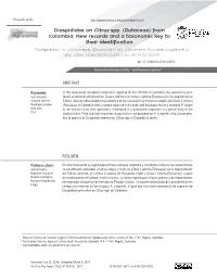 Diaspididae on Citrus Spp. (Rutaceae) from Colombia: New Records and a Taxonomic Key to Their Identification Diaspididae En Citrus Spp