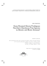 Does Elevated Ozone Predispose Northern Deciduous Tree Species to Abiotic and Biotic Stresses?