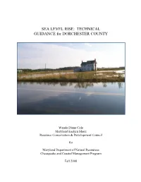Final Report