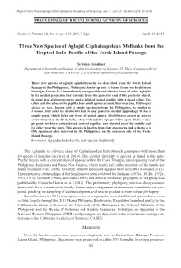 Template Proceedings 1.Qxd