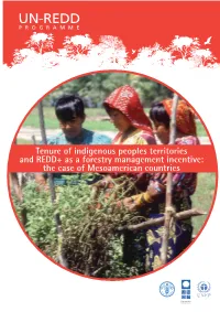 Tenure of Indigenous Peoples Territories and REDD+ As a Forestry Management Incentive: the Case of Mesoamerican Countries