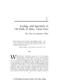 Ecology and Spectacle in Oil Wells of Baku: Close View