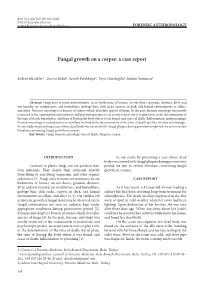 Fungal Growth on a Corpse: a Case Report