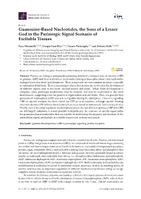Guanosine-Based Nucleotides, the Sons of a Lesser God in the Purinergic Signal Scenario of Excitable Tissues