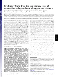 Life-History Traits Drive the Evolutionary Rates of Mammalian Coding and Noncoding Genomic Elements