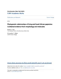 Phylogenetic Relationships of Living and Fossil African Papionins: Combined Evidence from Morphology and Molecules