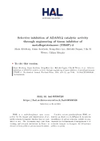 Selective Inhibition of ADAM12 Catalytic Activity Through