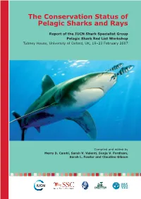 The Conservation Status of Pelagic Sharks and Rays