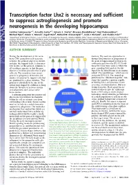 Transcription Factor Lhx2 Is Necessary and Sufficient to Suppress